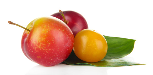 Ripe plums isolated on white
