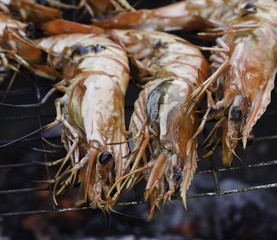 grilled tiger prawns