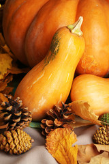 Autumn still life with pumpkins on fabric background