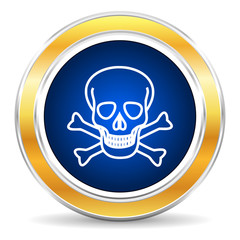 skull icon