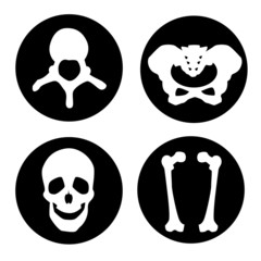 Fototapeta premium anatomy icon