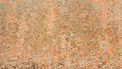 Large shingle texture with ancient shingles on a roof structure