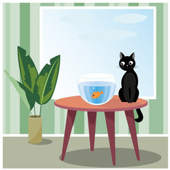 Naughty cat watching fish