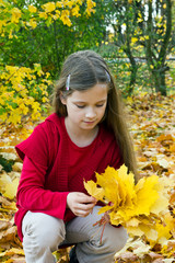 Naklejka premium autumn