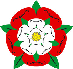 Tudor rose - Illustration