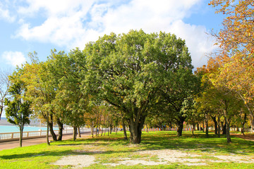 park at the beginning of autumn