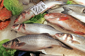 Seafood at  Rialto  fish market in Venice Italy