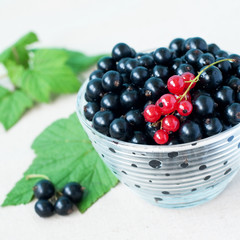 blackcurrants
