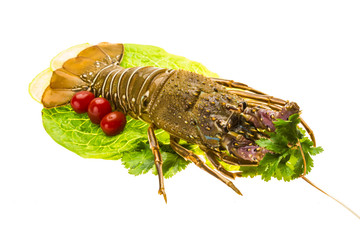 Raw spiny lobsters