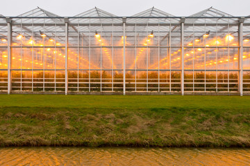 background commercial greenhouse