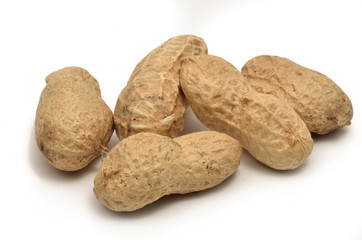 Erdnuss