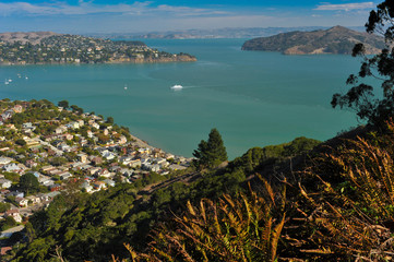 Sausalito hillside, Belvedere, Angle Island, San Francisco Bay