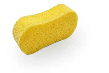 Sponge