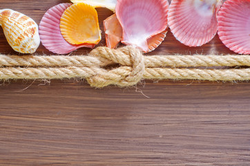 sea shells and rope