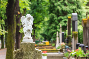Fototapeta premium White mourning angel