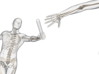 relay - visible skeleton