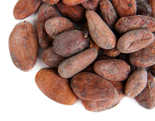 Obraz premium Cocoa beans isolated on white