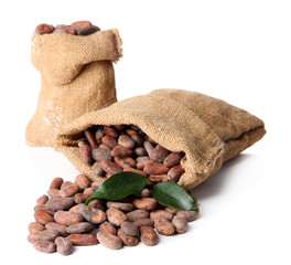 Cocoa beans in bags with leaves isolated on white