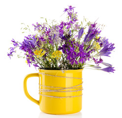 Beautiful bouquet of wildflowers in cup, isolated on white