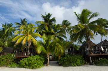 Beach Bungalows on Polynesian tropical Island