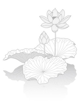喪中ハガキ Images Browse 544 Stock Photos Vectors And Video Adobe Stock