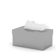 3d Tiissue box isolated