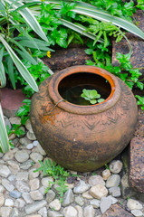 Old earthenware in garden..