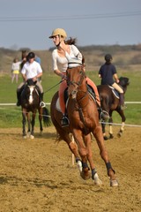 équitation