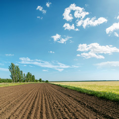 landscape with plowed field under light clouds