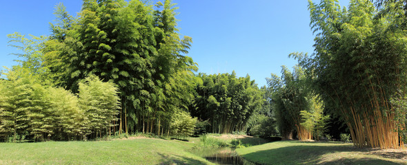 panoramioque sur jardin de bambous