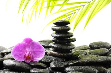 Stones tower with orchid and palm leaf