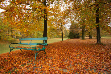 park bench autumn leaves - Herbstlaub