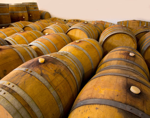 wine wooden oak barrels in winery