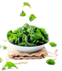 Fresh green spinach leaves