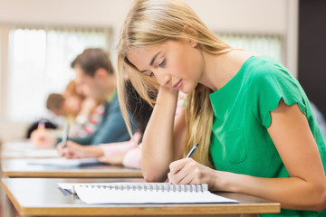 Students writing notes in classroom