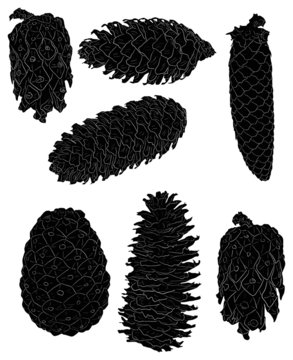 set of seven cones isolated on white