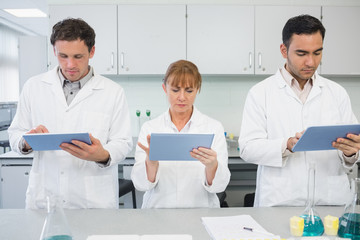 Fototapeta premium Scientists using tablet PCs in the lab