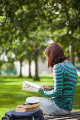 Casual student sitting on bench reading