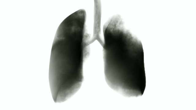 Spread of smoke, lungs shape
