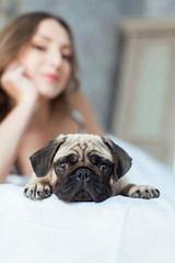 young girl with dog while laying on bed, focus on dog