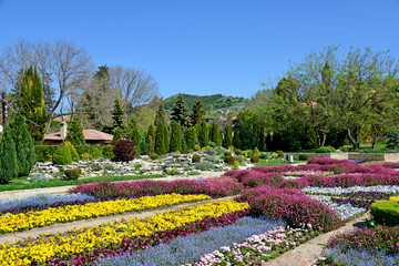 Beautiful tulips in a botanical garden