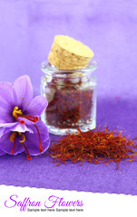 Obraz na płótnie Canvas Dried saffron spice and Saffron flower