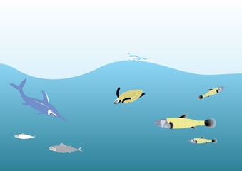 Ocean and it's inhabitants