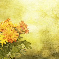 Naklejka na ściany i meble Chrysanthemum floral background