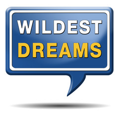 wildest dreams