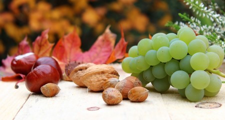 ernte im herbst
