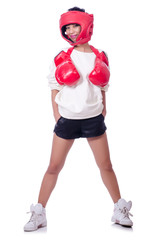 Funny boxer isolated on white