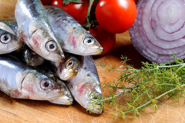 closeup of sardines