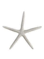 Obraz premium 00672STN