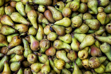 European pears